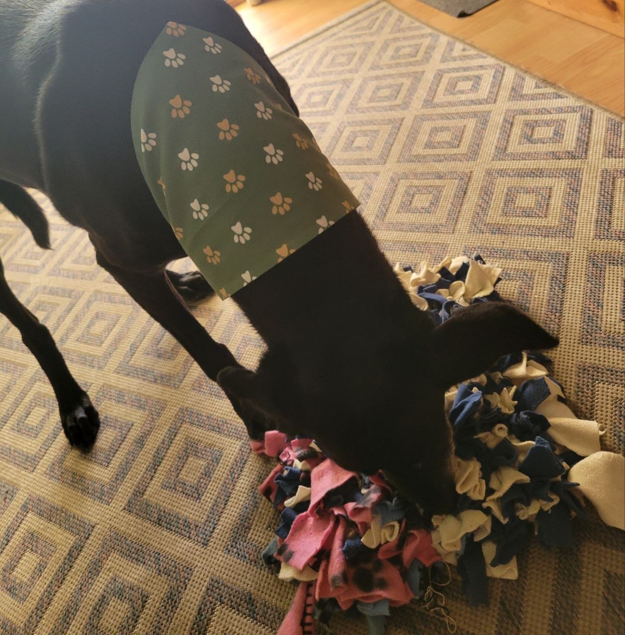 Milo wearing a sage-green paw-print bandana, snout buried in a homemade snuffle mat made of pink, navy and cream fleece strips